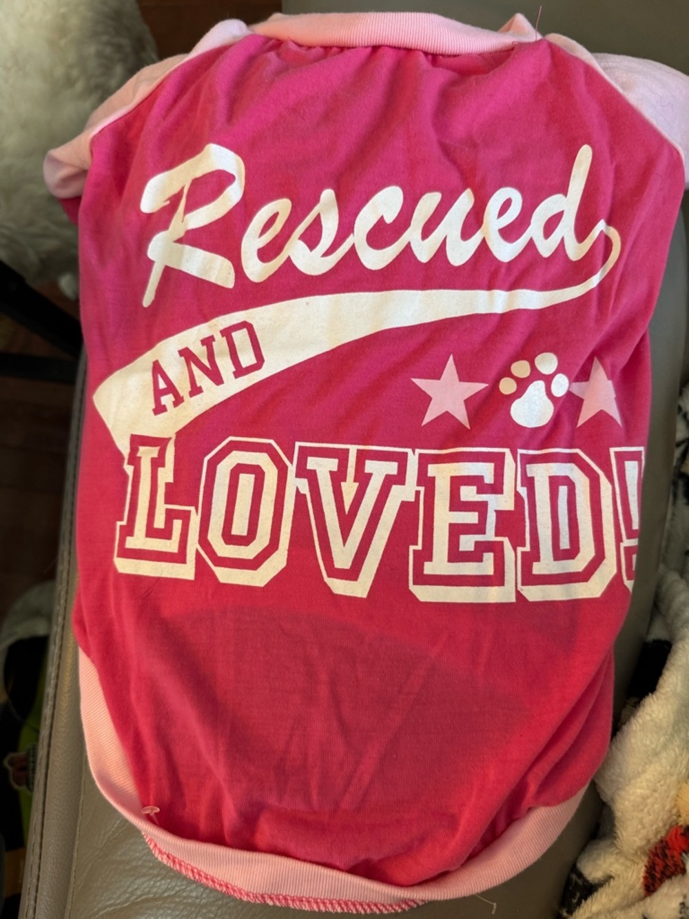 Rescued and Loved Pink Pet Tee
